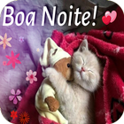 Boa Noite-icoon