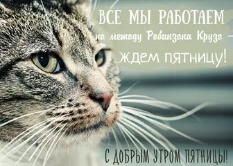 download Открытки с Пожеланиями APK