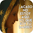 Virgen de Guadalupe-icoon