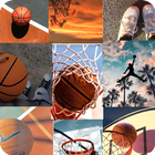 Basketball Wallpapers icône