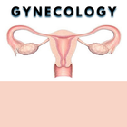 Gynecology 아이콘