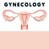 Gynecology