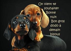 Bonne nuit 海報