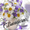 Buongiorno Immagini 2023 ikon