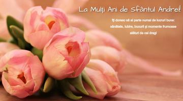 Mesaje De Sfântul Andrei تصوير الشاشة 2