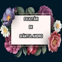 Mesaje De Sfântul Andrei تصوير الشاشة 3