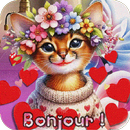 Bonjour Images APK