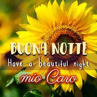 Buona notte 2023 पोस्टर