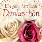 Danke Bilder ícone