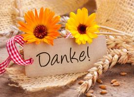 Danke Bilder imagem de tela 1