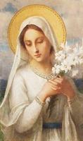 Virgen Maria Imagenes 스크린샷 3