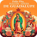 Virgen de Guadalupe  Imágenes APK