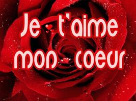 JE T'aime MON Amour 스크린샷 3