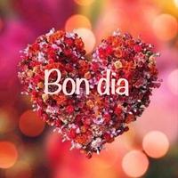 Bon Dia Bona Tarda Bona Nit постер