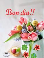 Bon Dia Bona Tarda Bona Nit скриншот 2
