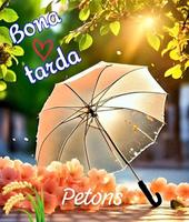 Bon Dia Bona Tarda Bona Nit скриншот 3