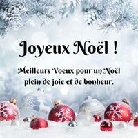 Joyeux Noël Screenshot 3