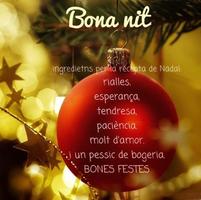 BON NADAL ภาพหน้าจอ 2