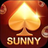 Sunny Game