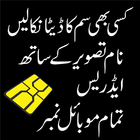 Sim owner detail & Sim On CNIC icon