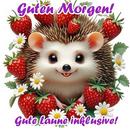 Guten Morgen Bilder APK