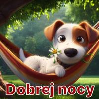Dobranoc Obrazy screenshot 1