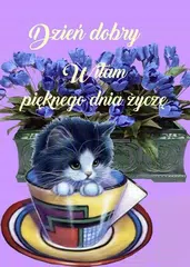 Скачать Dzień dobry Miłego dnia Obrazy XAPK