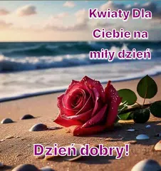 Dzień dobry Obrazy XAPK 下載