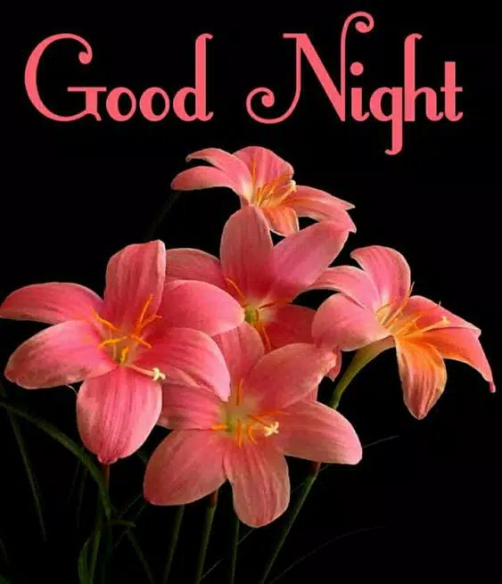 Good night Images APK for Android Download Good night Images APK for Android Download