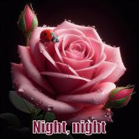 Good night Images screenshot 2