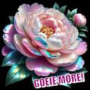 Goeie môre Beelde APK