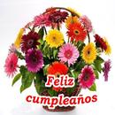 Feliz cumpleaños APK