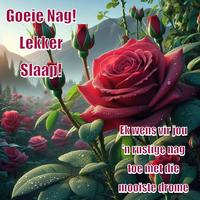 Goeie nag Lekker slapies poster