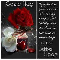 Goeie nag Lekker slapies تصوير الشاشة 3
