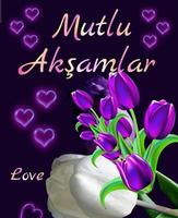 Mutlu akşamlar screenshot 3