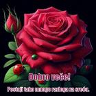 ikon Dobro veče Laku noć Slike