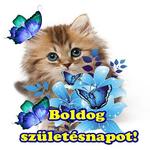 Boldog születésnapot Képek icon