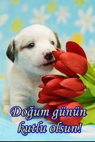Doğum günün kutlu olsun screenshot 1