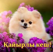 Қайырлы кеш Қайырлы түн poster