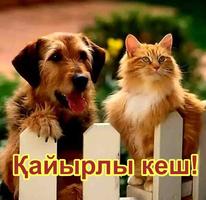 Қайырлы кеш Қайырлы түн screenshot 2
