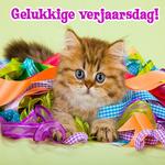 Gelukkige verjaarsdag Beelde icon