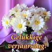 Gelukkige verjaarsdag Beelde