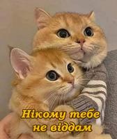 Люблю тебе. Кохаю screenshot 2