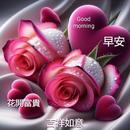 午安,早安, 哈囉 APK