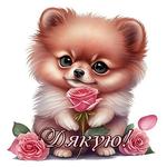 Дякую Картинки icon
