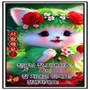 사랑 이미지 APK
