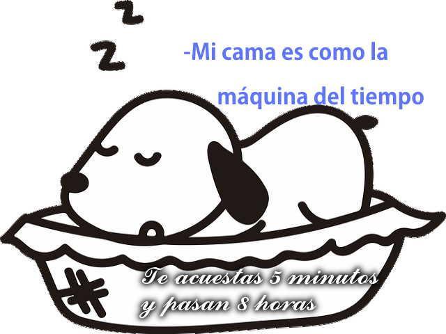 Frases Graciosas de Buenas Noches APK for Android Download Frases Graciosas de Buenas Noches APK for Android Download