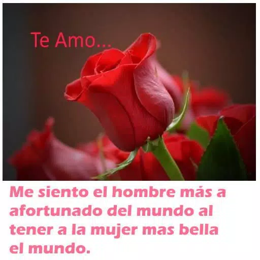Flores con Frases de Amor APK للاندرويد تنزيل