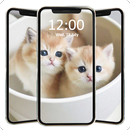 Cute Cat Wallpaper Full HD APK