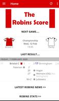 The Robins Score poster